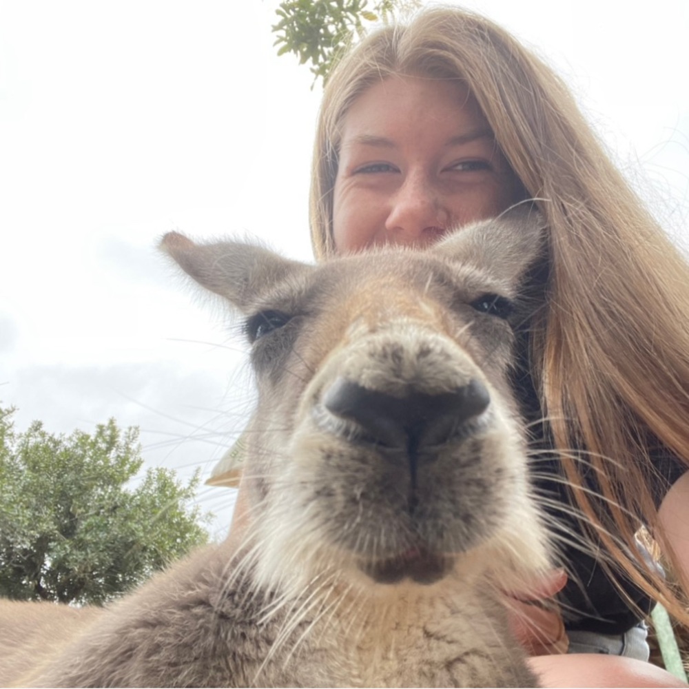 Meet your Posher, Mercy